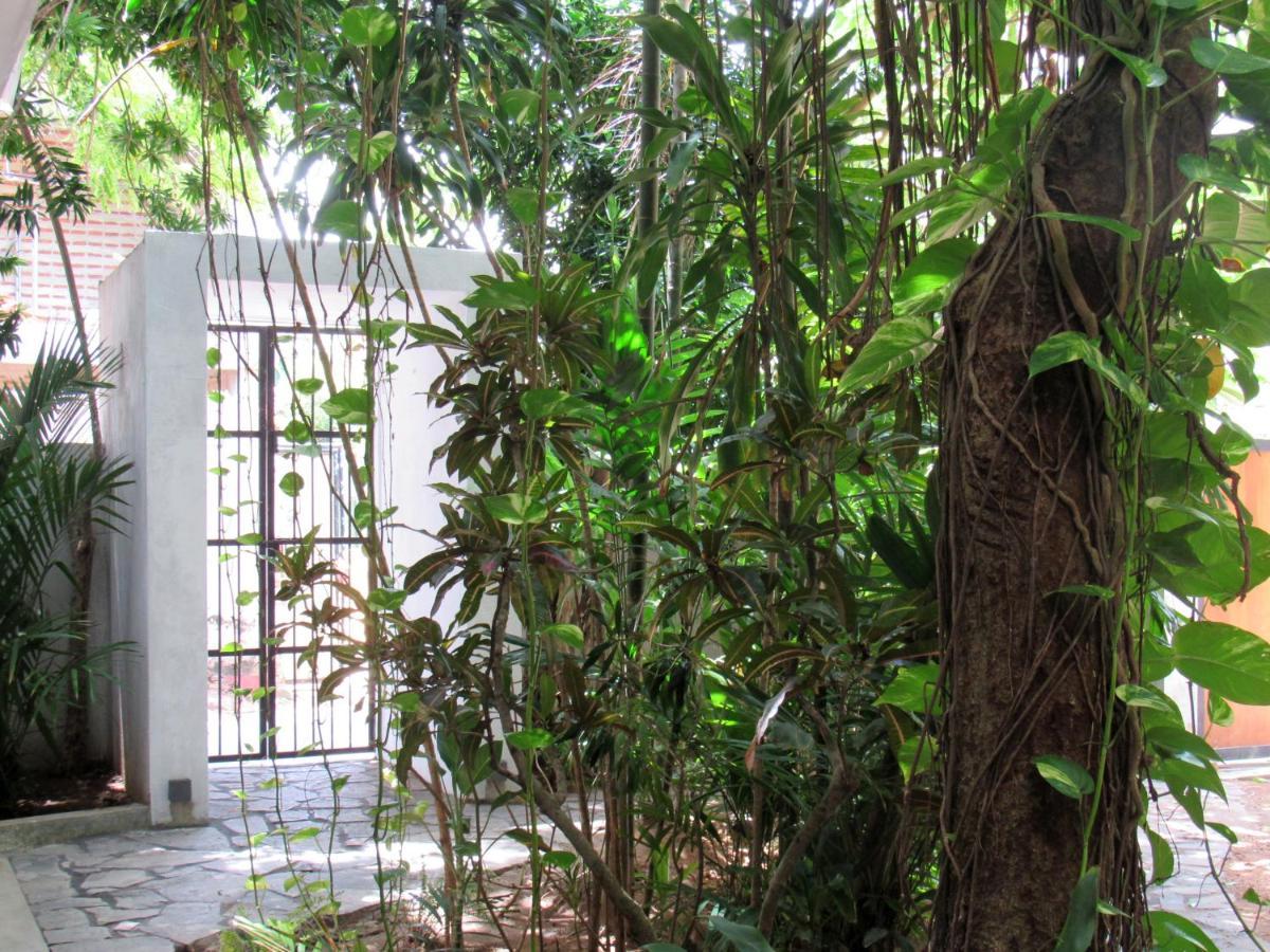 Sayura House Guest house 3*